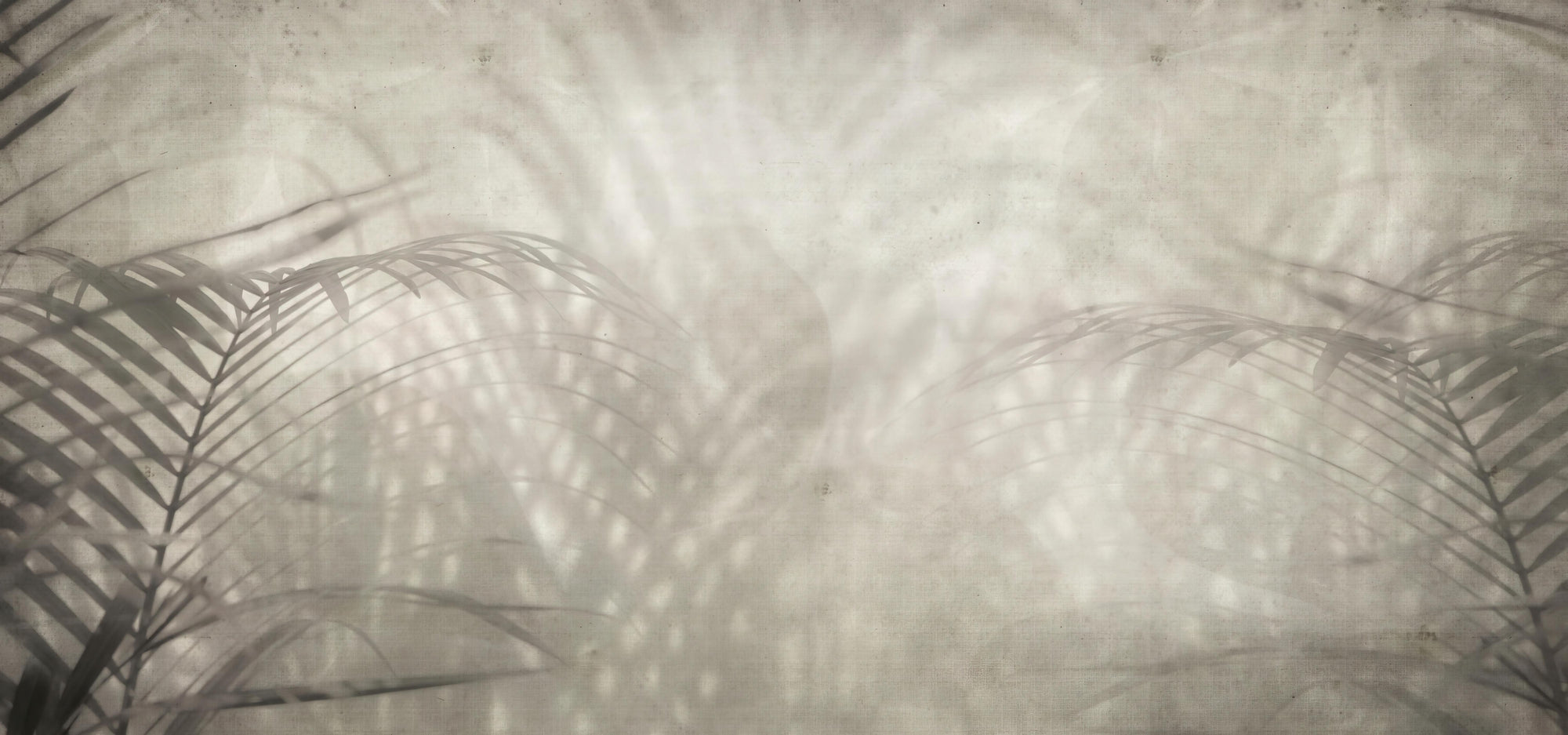 Neutral Palm Leaf Shadow Wallpaper