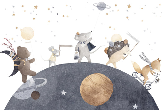 Dreamy Night Kids Wallpaper Mural
