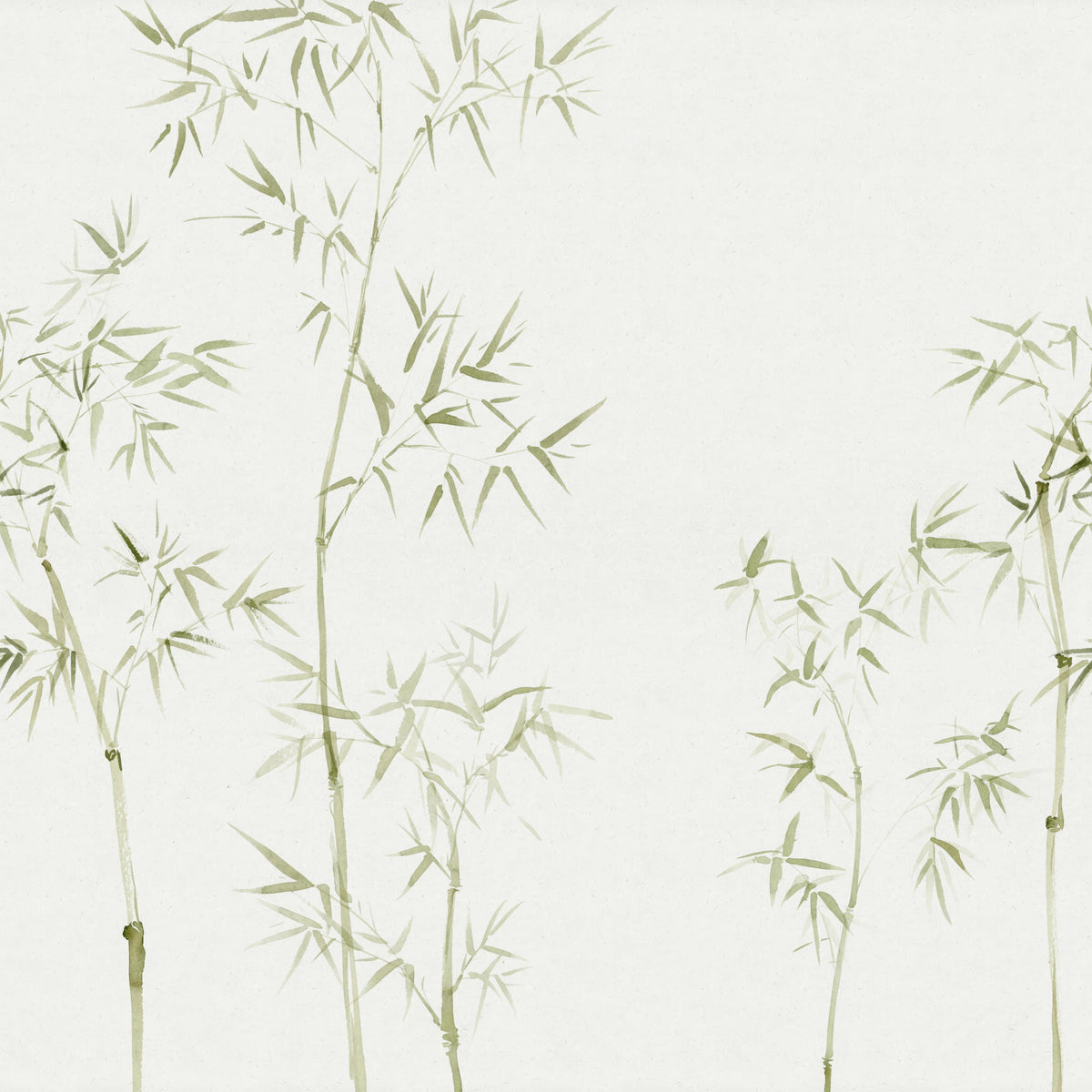 Watercolor Bamboo Tree Wallpaper Mural in your room