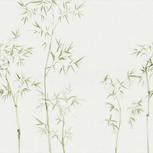Watercolor Bamboo Tree Wallpaper Mural