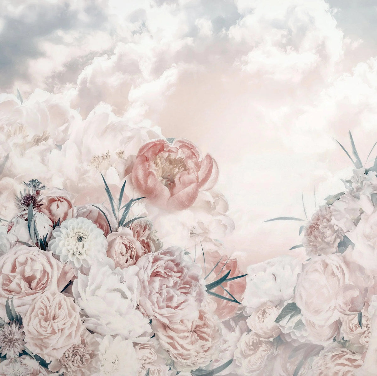 Pink White Flower Wallpaper Mural in your room