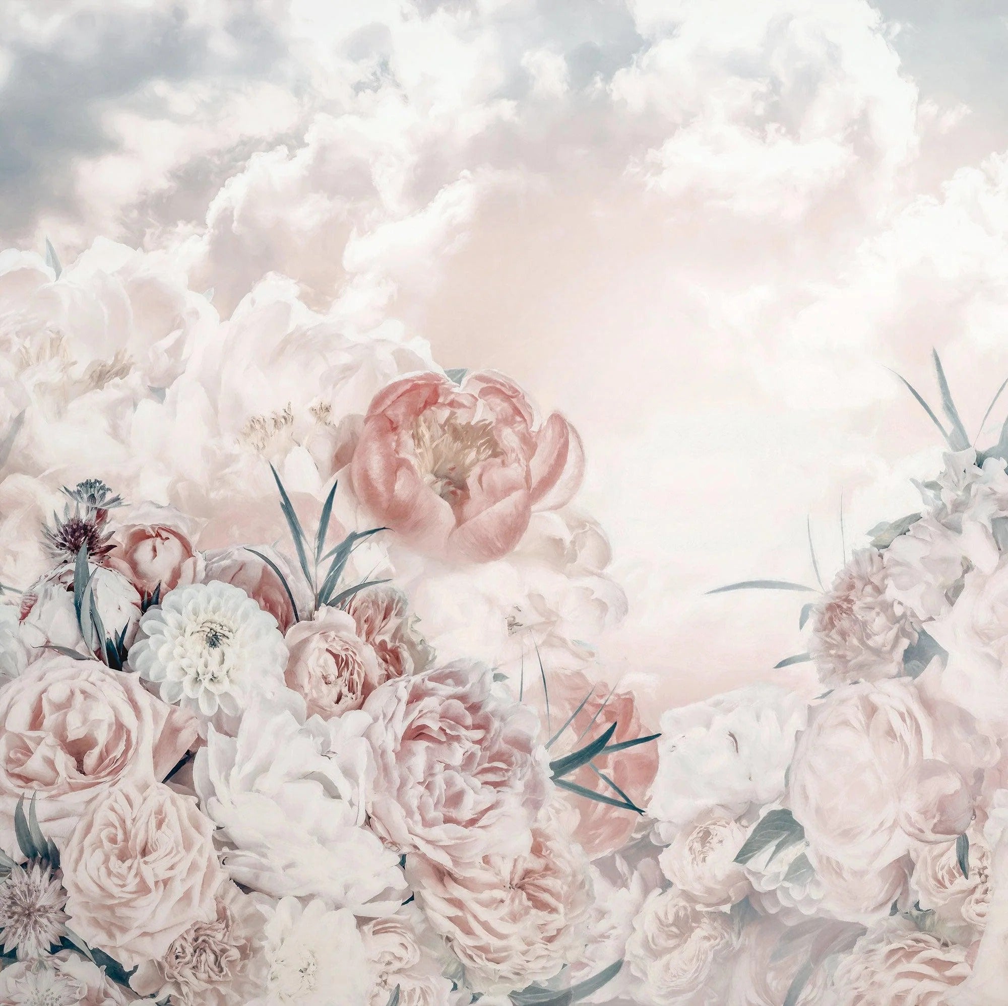 Pink White Flower Wallpaper Mural