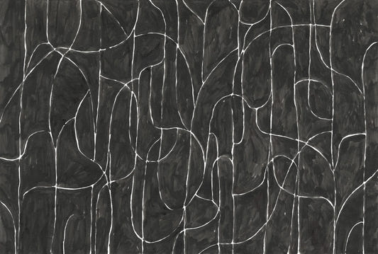 Boulder Beach Black Wallpaper Mural