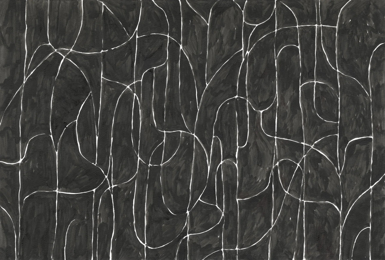 Boulder Beach Black Wallpaper Mural