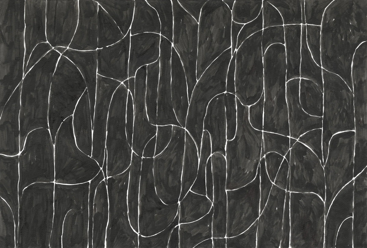 Boulder Beach Black Wallpaper Mural in your room