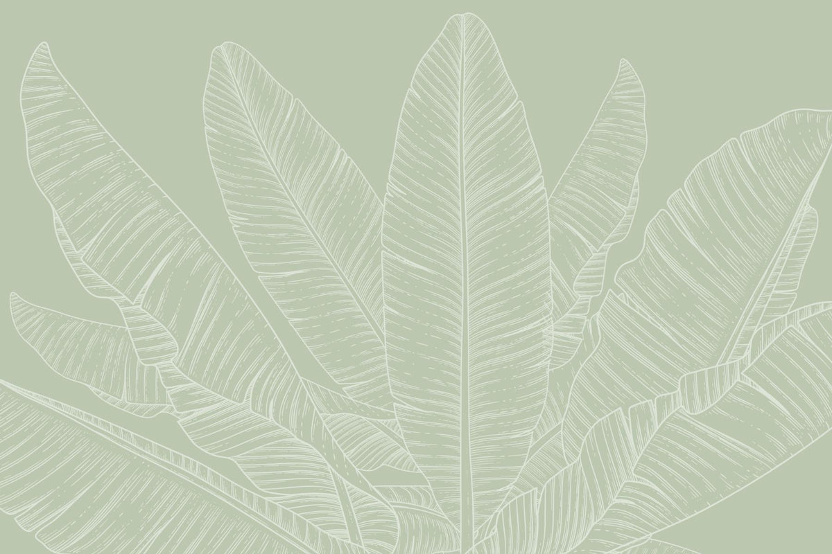 Green Banana Leaf Canopy Wallpaper in your room — zoomed