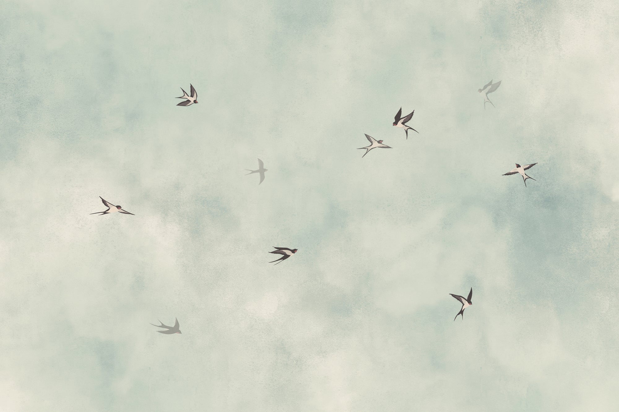 Swallow Dance Sky Wallpaper