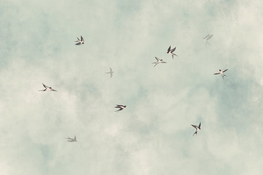Swallow Dance Sky Wallpaper