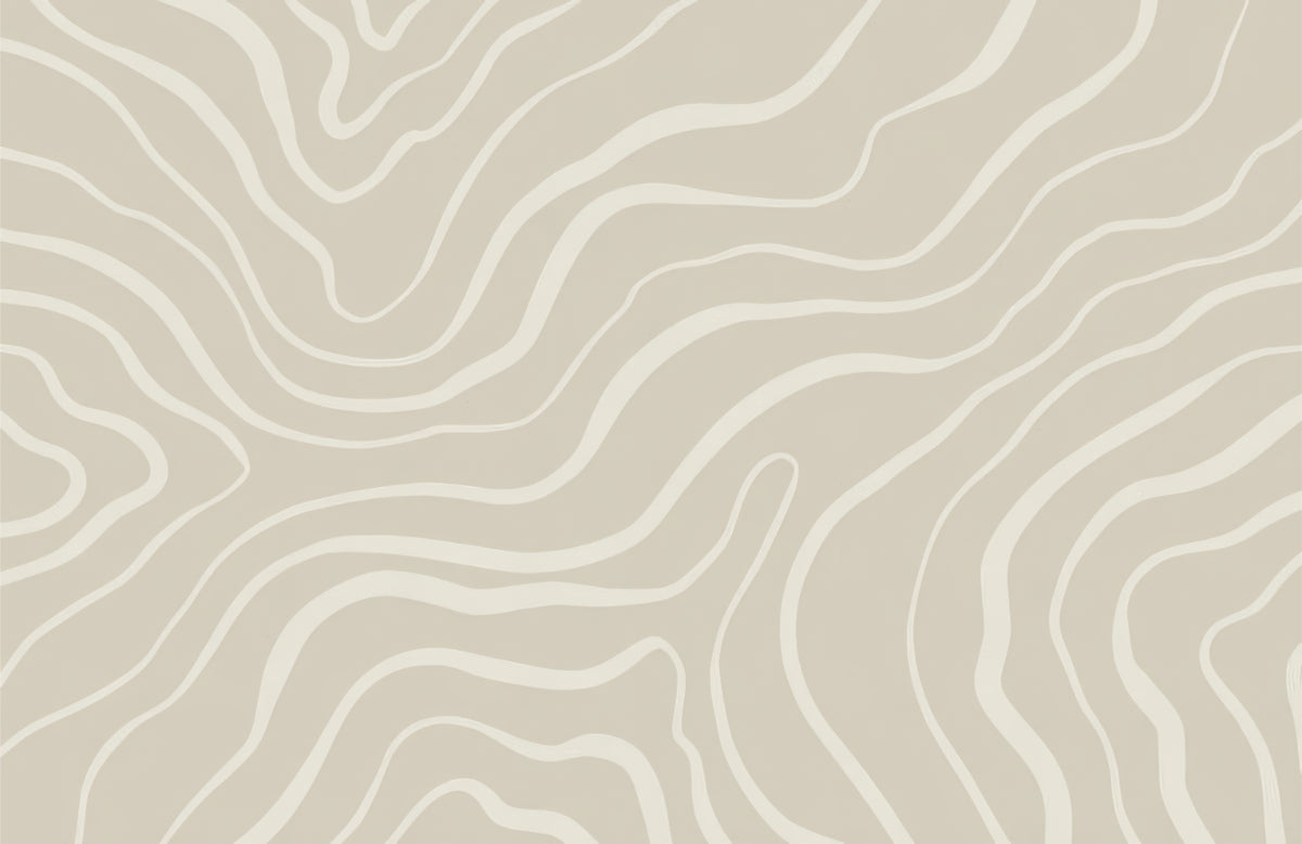 Neutral Abstract Lines Wall Mural in your room