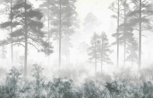 Foggy Pine Trees Wallpaper Mural