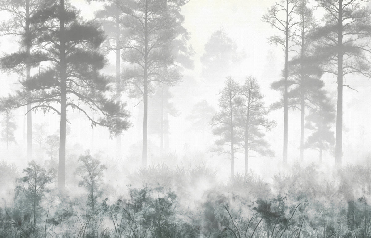 Foggy Pine Trees Wallpaper Mural in your room