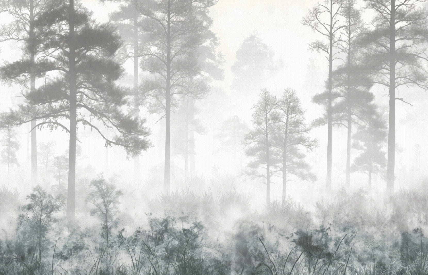 Foggy Pine Trees Wallpaper Mural