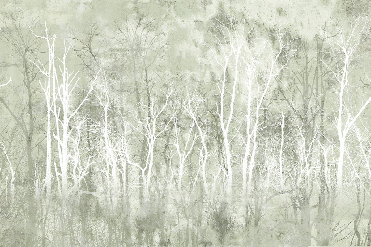 Mystic Green Forest Wall Mural in your room
