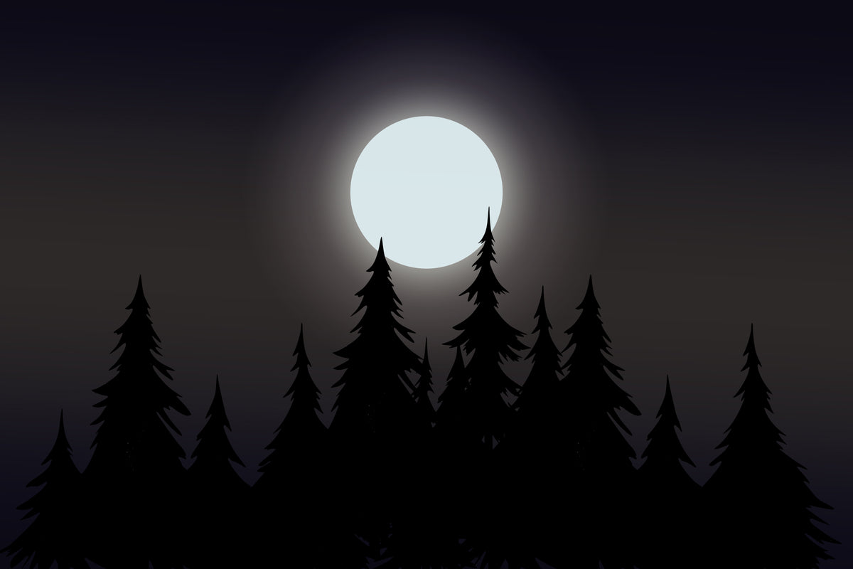 Mystical Moonlit Forest Wallpaper in your room — zoomed