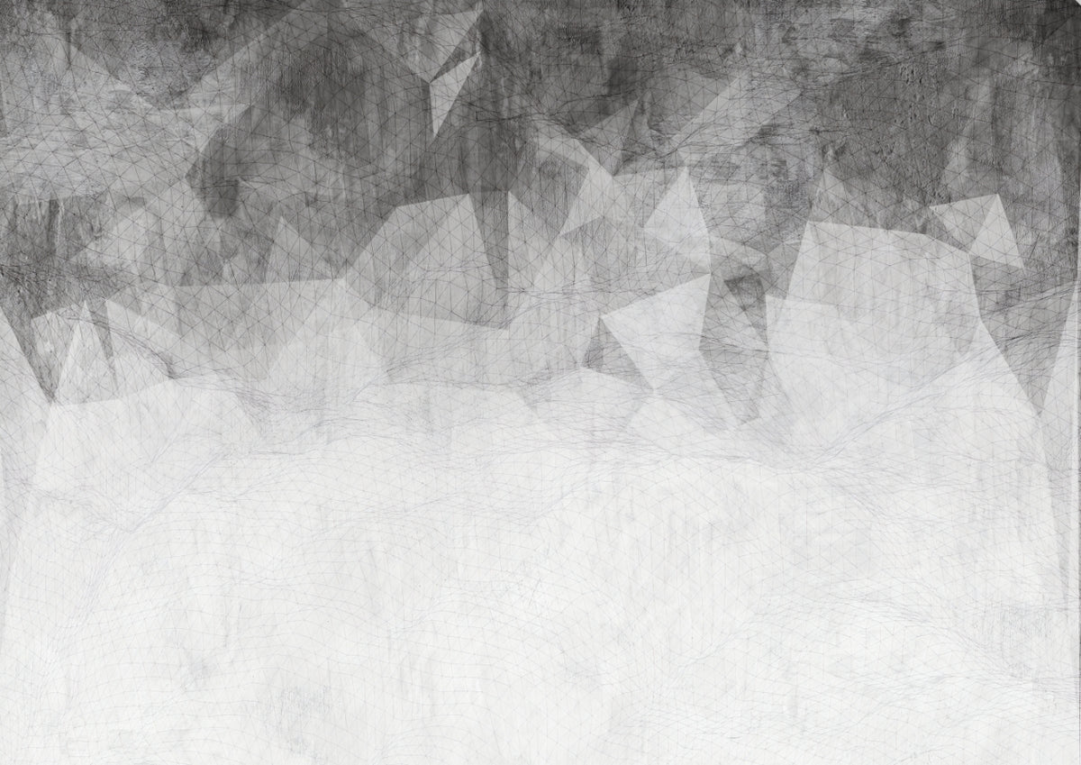 Monochrome Abstract Geometric Texture Wall Mural in your room