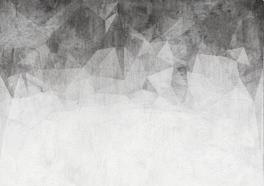 Monochrome Abstract Geometric Texture Wall Mural