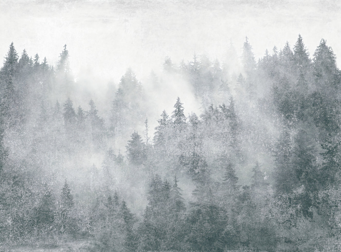 Misty Pine Forest Scenic Wall Mural