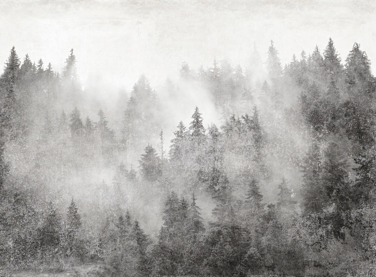 Monochrome Misty Pine Forest Wall Mural