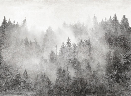 Monochrome Misty Pine Forest Wall Mural