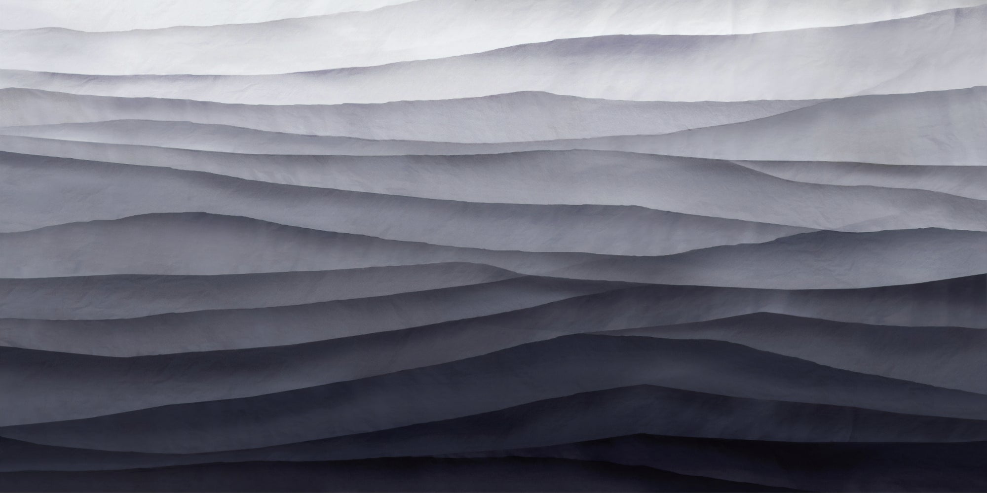 Monochrome Abstract Wall  Mural