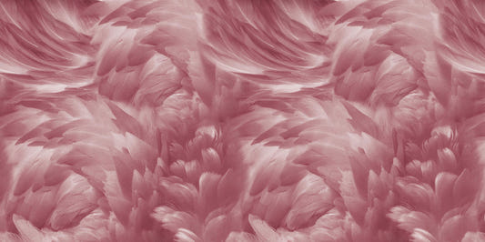 Blush Pink Feather Wallpaper Mural