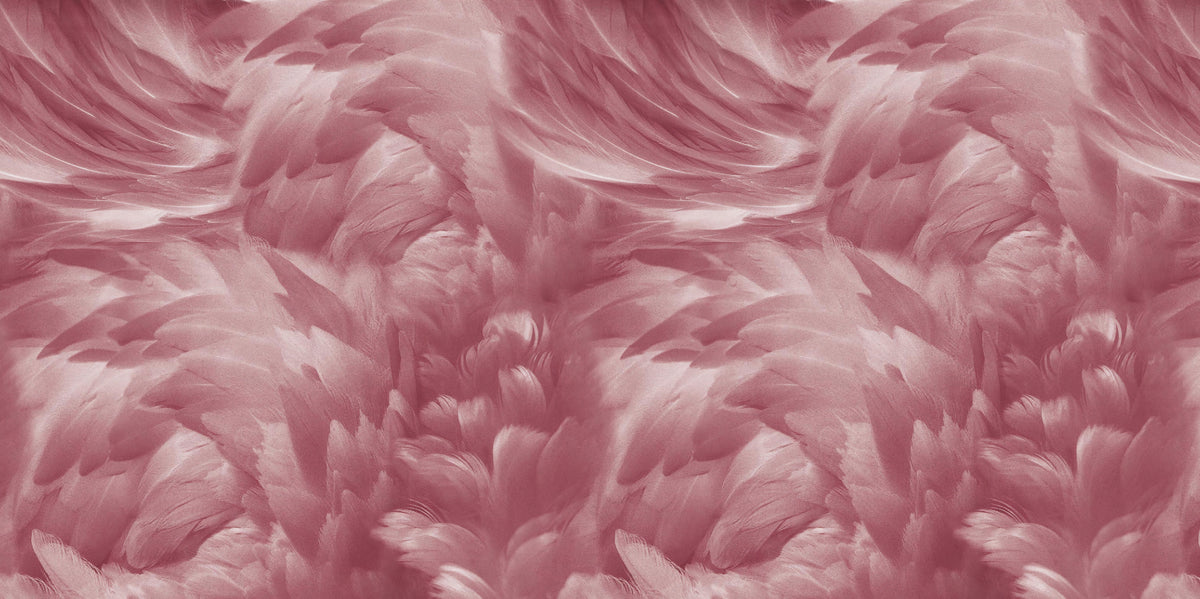 Blush Pink Feather Wallpaper Mural in your room — zoomed