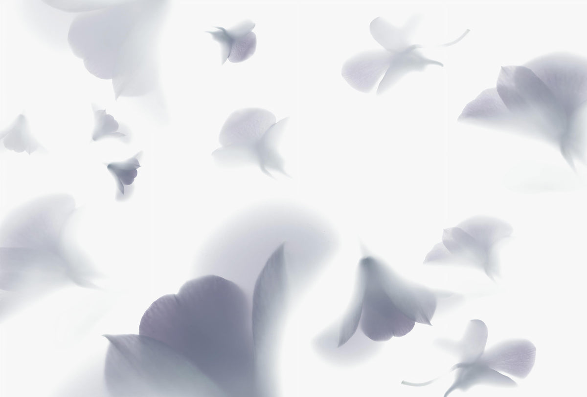 Minimalist Lavender Floral Wall Mural in your room — zoomed