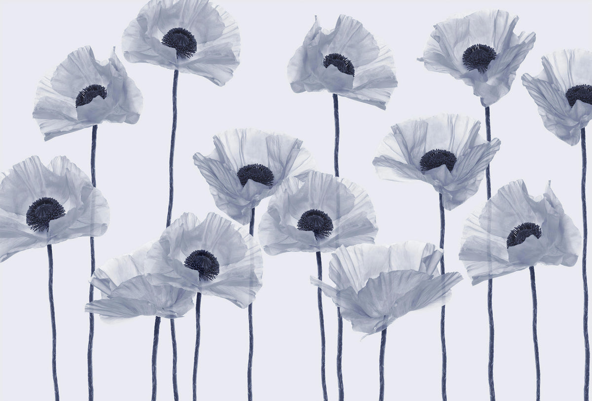 Modern Blue Poppy Wall Mural in your room