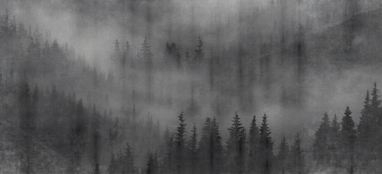 Misty Forest Black Wall Mural