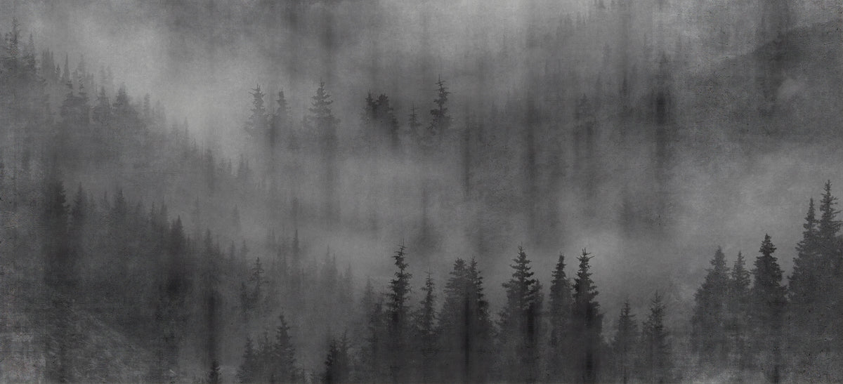 Misty Forest Black Wall Mural in your room — zoomed