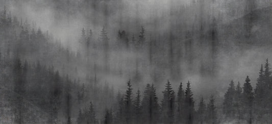 Misty Forest Black Wall Mural