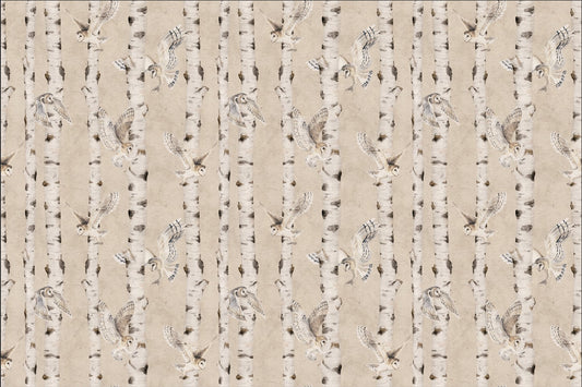 Owl Birch Forest Wallpaper - Beige