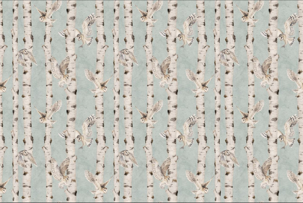 Owl Birch Forest Wallpaper - Blue in your room — zoomed
