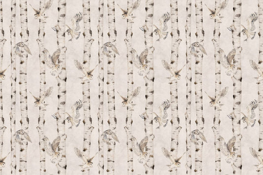 Owl Birch Forest Wallpaper - White