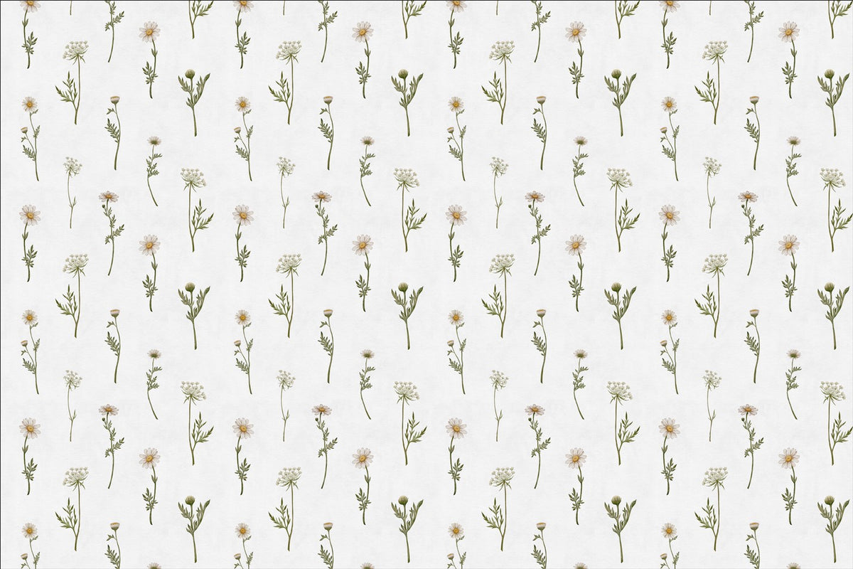 Soft White Wildflower Wallpaper in your room