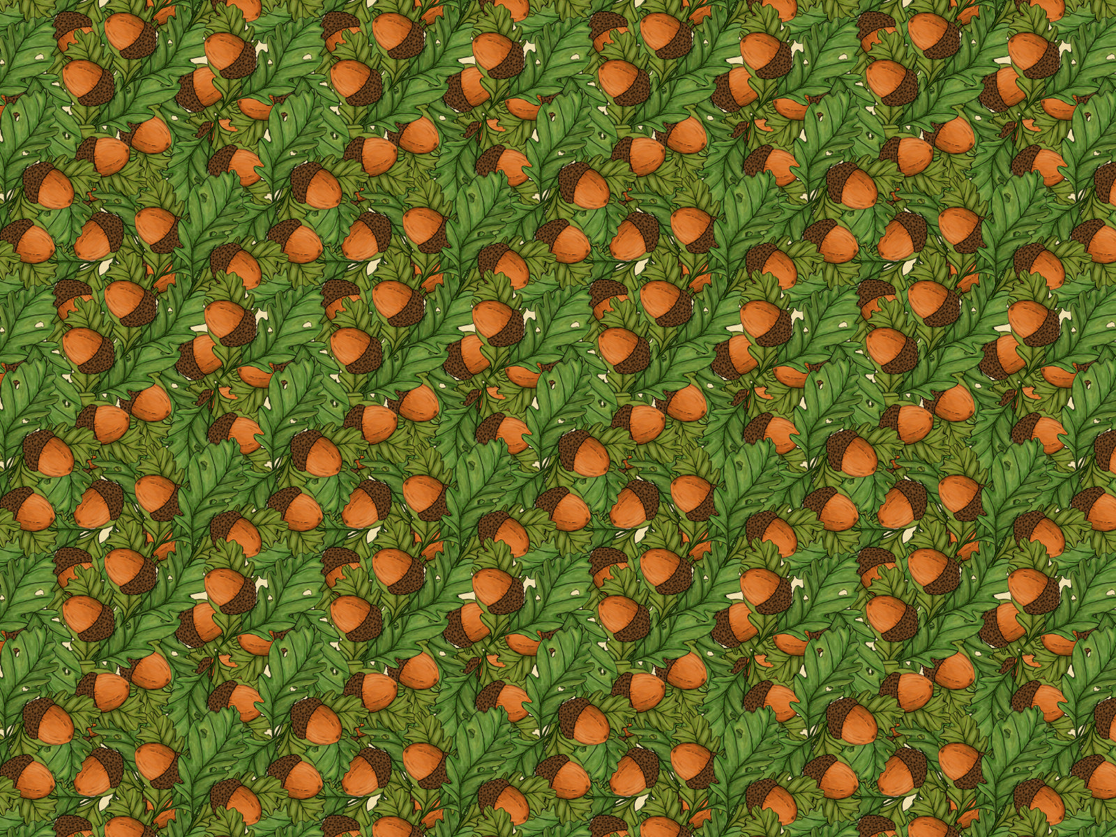 Acorns Wallpaper for Walls in your room
