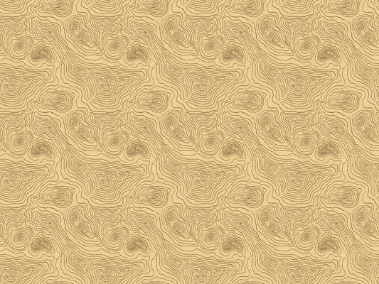 Contours Land Wallpaper Murals
