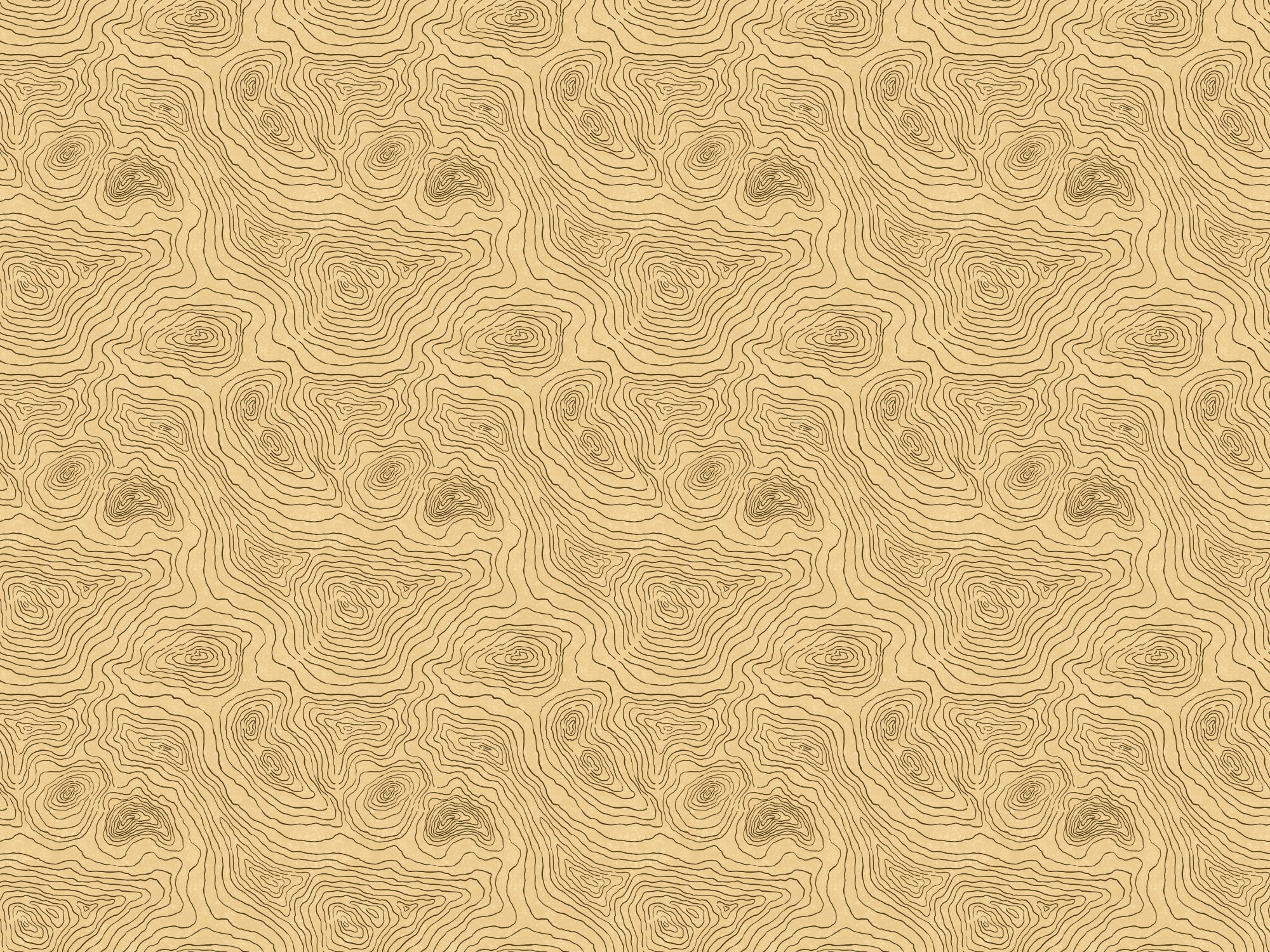 Contours Land Wallpaper Murals