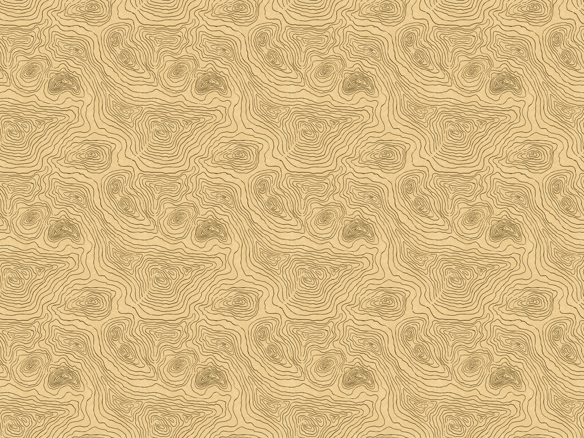 Contours Land Wallpaper Murals in your room — zoomed
