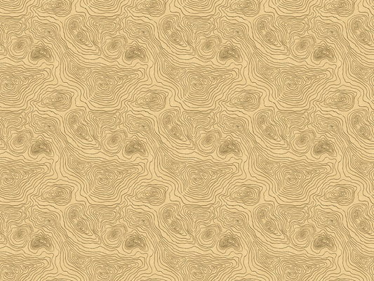 Contours Land Wallpaper Murals