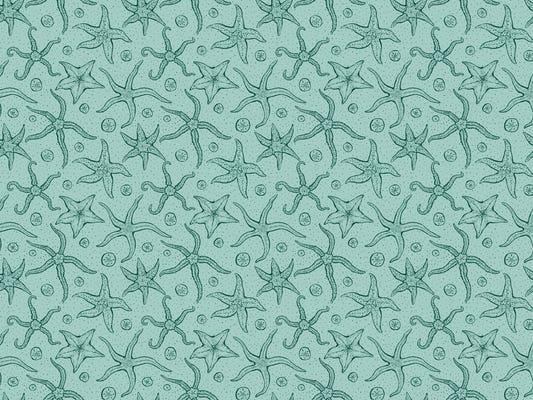 Light Blue Echinoderms Wallpaper