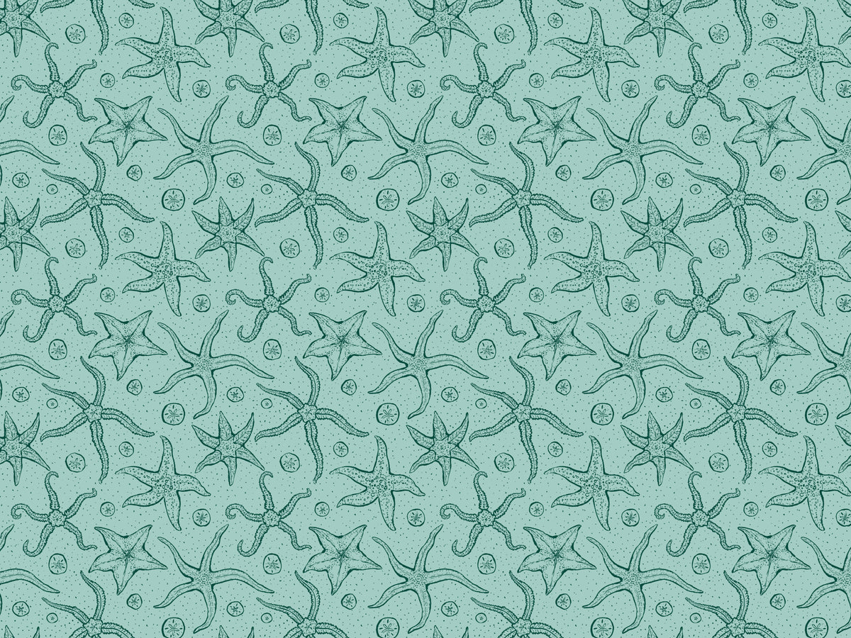 Light Blue Echinoderms Wallpaper in your room — zoomed