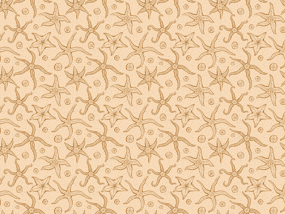 Warm Brown Echinoderms Wallpaper in your room — zoomed