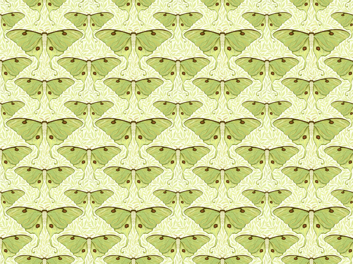 Luna Moth and Leaves Wallpaper for Walls