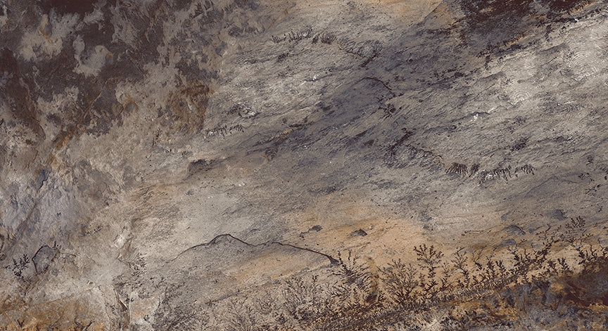 Brown Matured Stone Textured Wallpaper Mural in your room