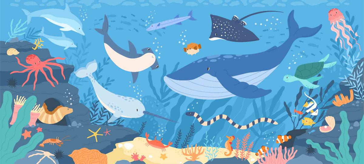 Fish and Marine Life Underwater wallpaper in your room — zoomed
