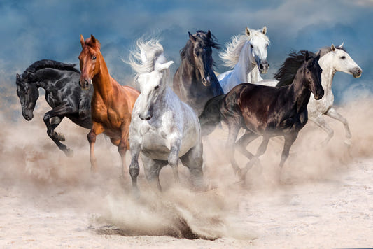 Stormy Running Horse Desert Wallpaper Mural