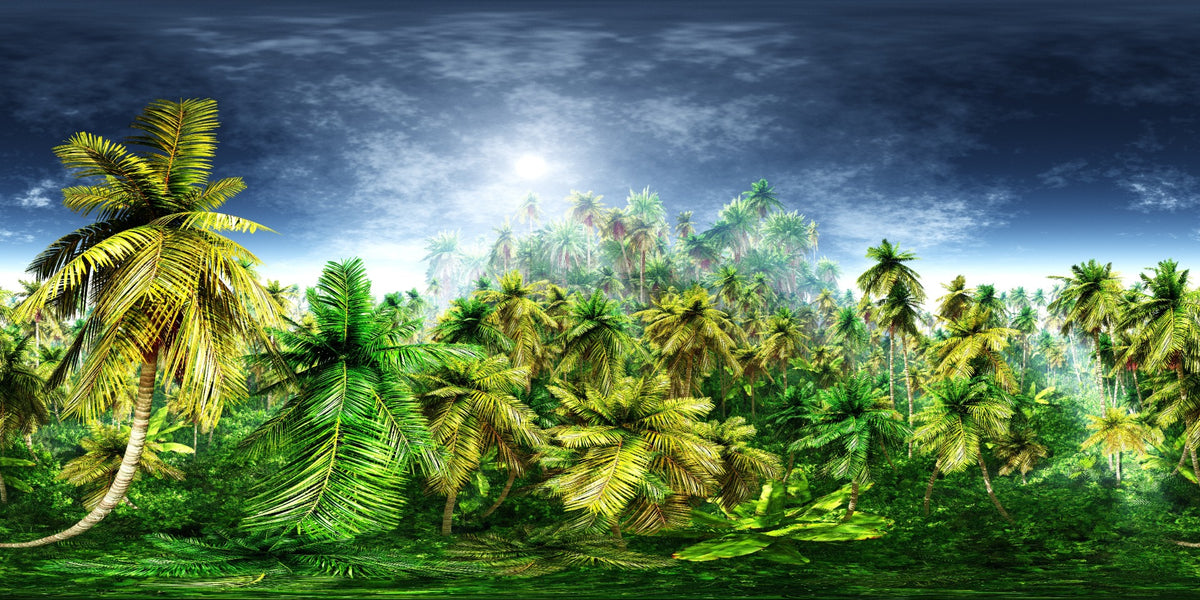 Vivid Green Rainy Morning Forest Wallpaper Mural in your room
