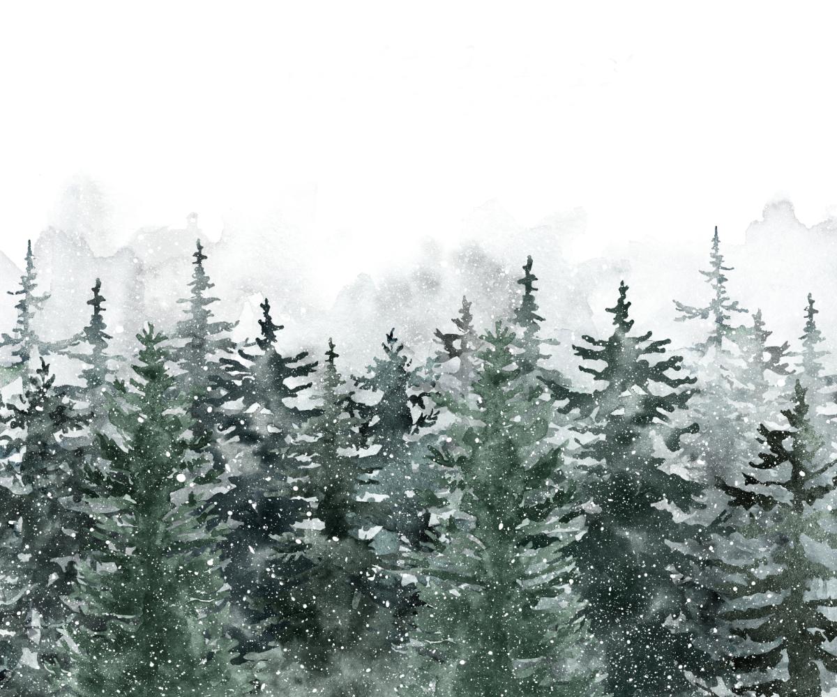 Misty Pine Winter Forest Wallpaper Mural in your room — zoomed