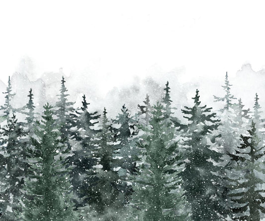 Misty Pine Winter Forest Wallpaper Mural